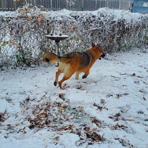 Meet your Posher, Mya grace